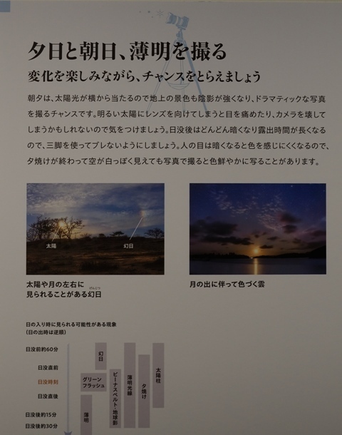 R1010292.jpg
