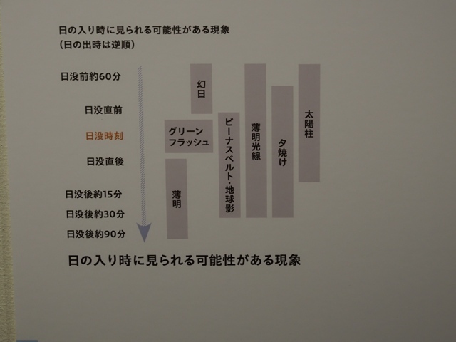 R1010293.jpg
