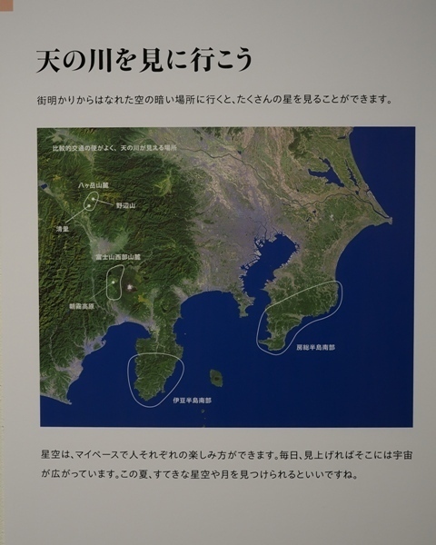 R1010299.jpg