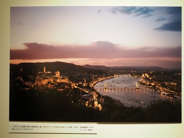 R1010307.jpg