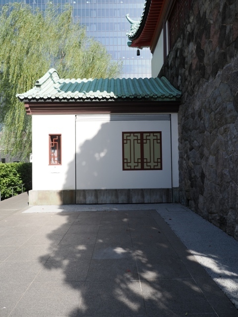 R1010330.jpg