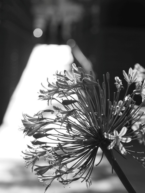 R1010350.jpg