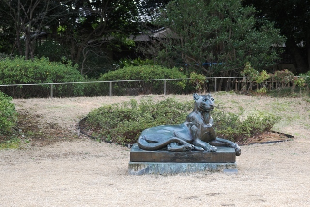 R1010362.jpg