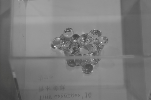 R1010366.jpg