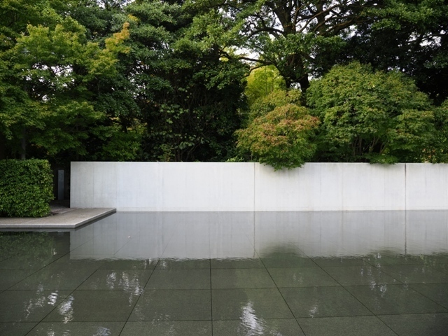 R1010576.jpg