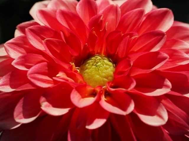 R1010579.jpg