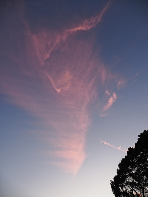 R1010584.jpg