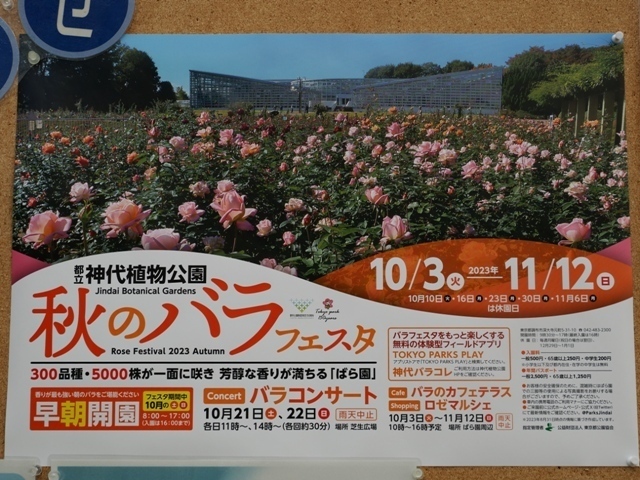 R1010597.jpg