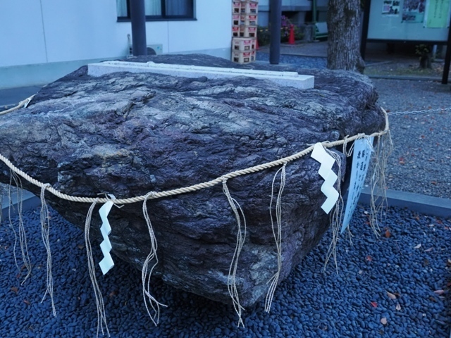 R1010784.jpg