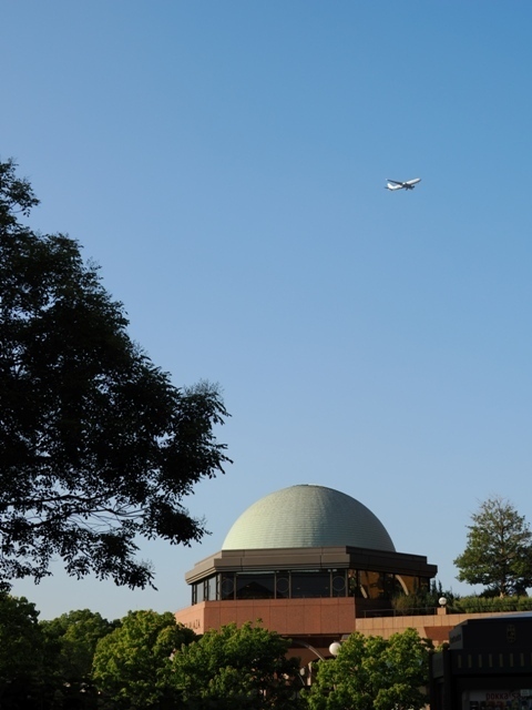 R1010789.jpg