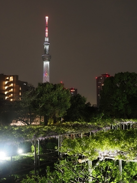 R1010798.jpg