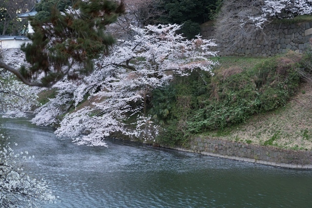 Z3304638.jpg