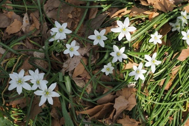 Z4135374.jpg