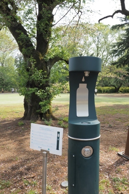 Z4135376.jpg