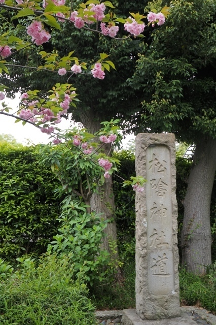 Z4175483.jpg