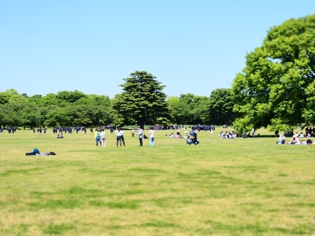 Z4233256.jpg