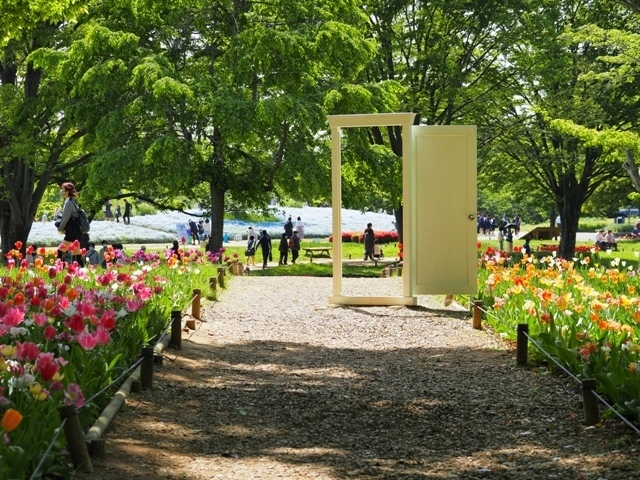Z4233266.jpg