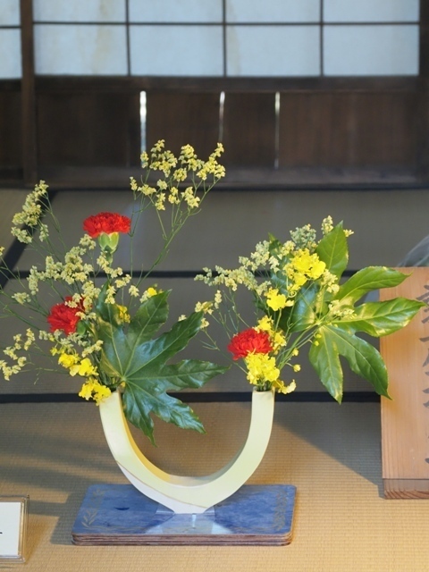 Z5063595.jpg