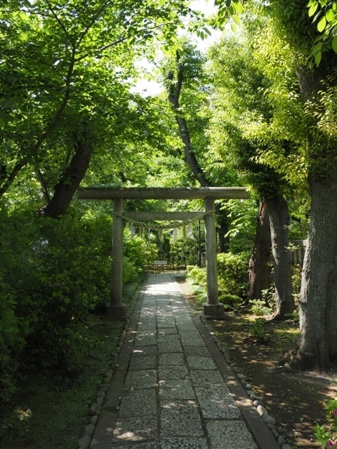 Z5063601.jpg