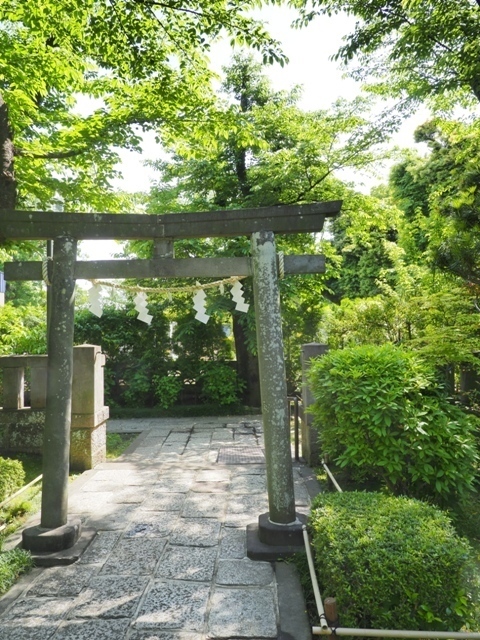 Z5063603.jpg