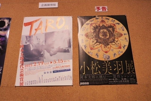 Z5086091.jpg