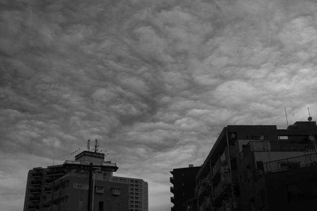 Z5086102.jpg