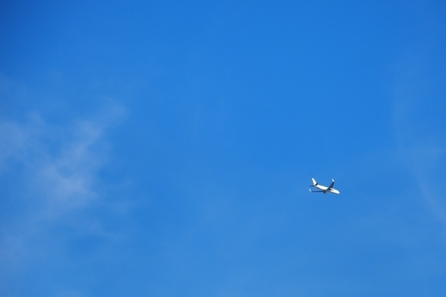 Z8226637.jpg