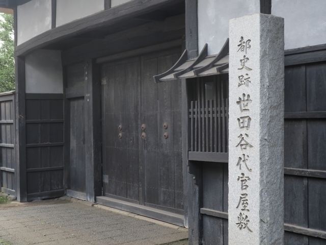 Z9156781.jpg