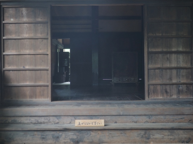 Z9156785.jpg