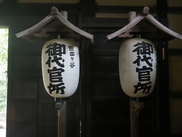 Z9156789.jpg