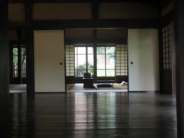 Z9156790.jpg
