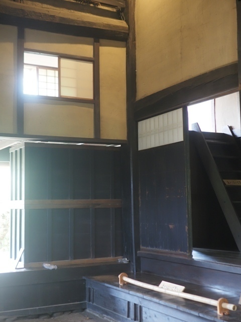 Z9156792.jpg