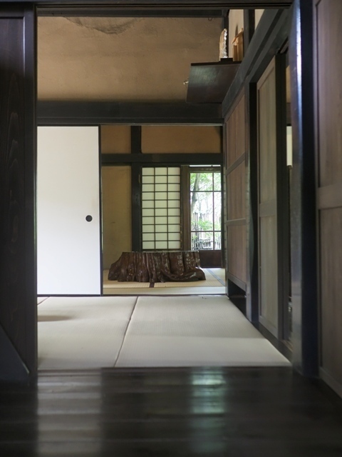Z9156793.jpg