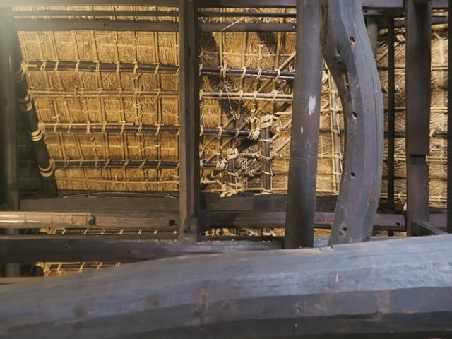 Z9156794.jpg