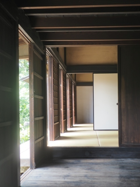 Z9156795.jpg