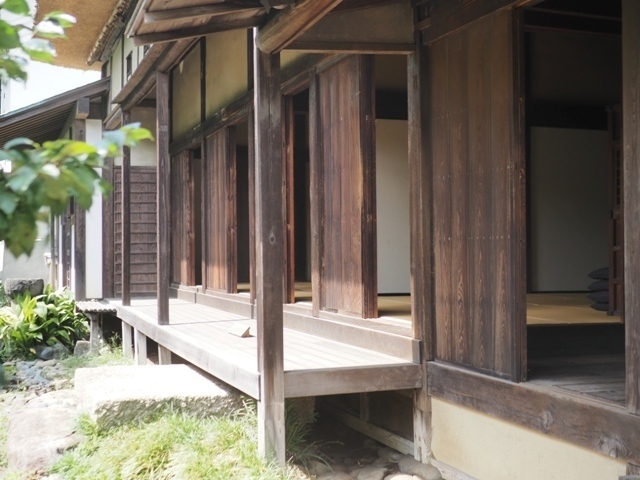 Z9156796.jpg