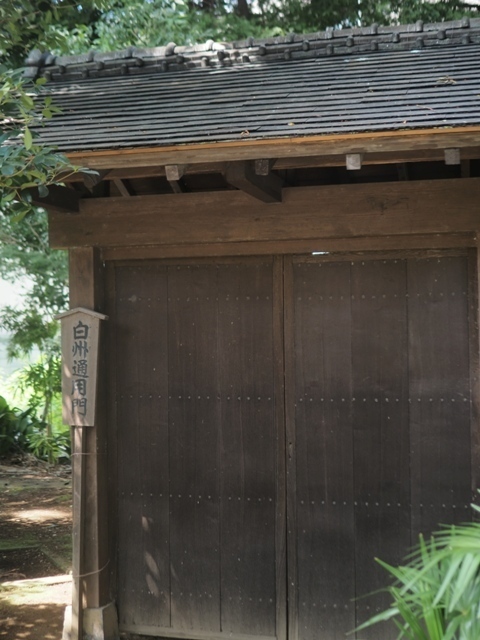 Z9156810.jpg