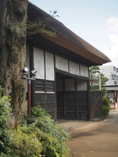 Z9156811.jpg