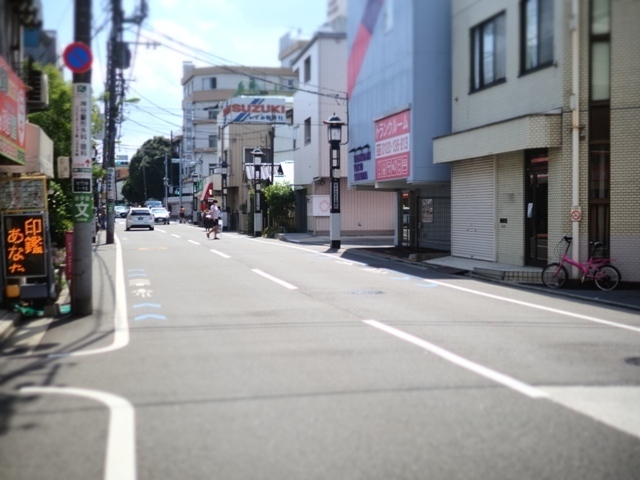 Z9156816.jpg