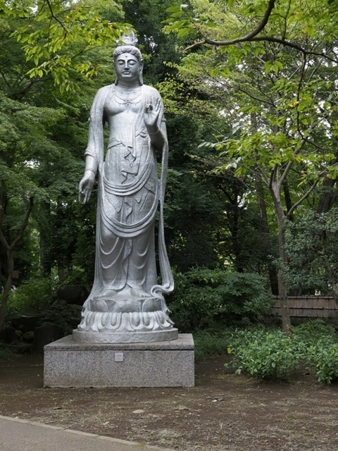 Z9164880.jpg