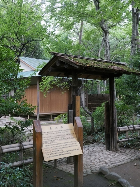 Z9164882.jpg