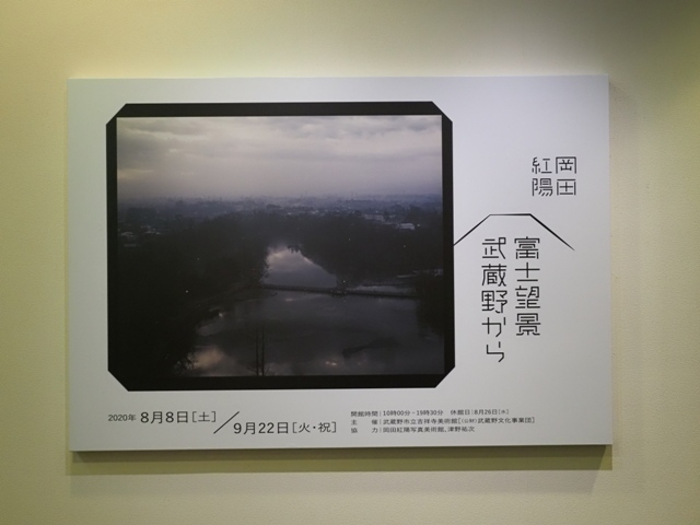 Z9164895.jpg