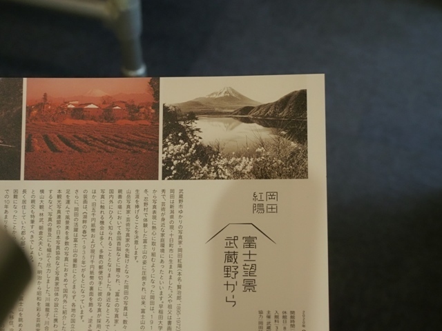 Z9164896.jpg
