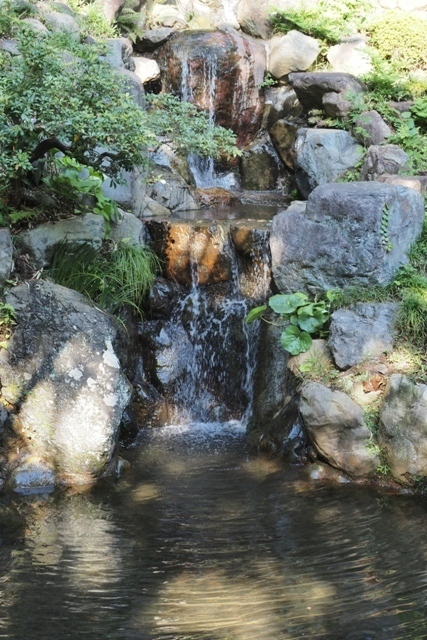 ZA037456.jpg