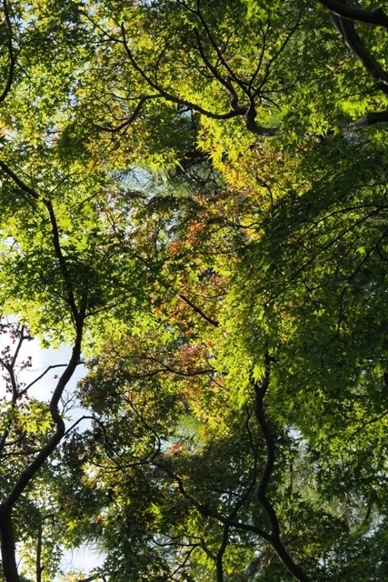 ZA037460.jpg