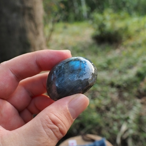 ZA037514.jpg