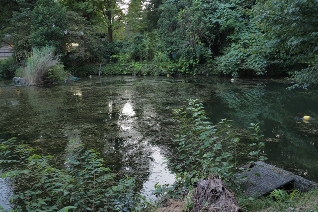 ZA037530.jpg