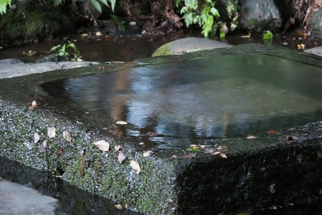 ZA037538.jpg