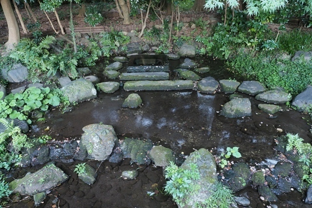 ZA037539.jpg
