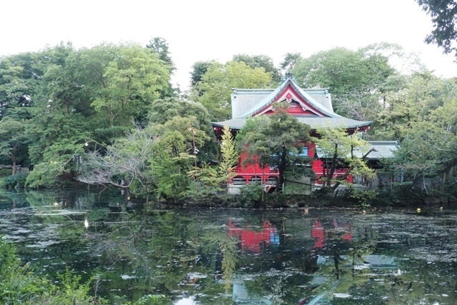 ZA037540.jpg